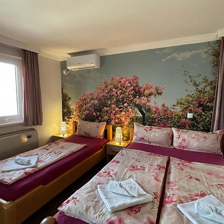 Apartmani "Marija" Ґолубац Екстер'єр фото
