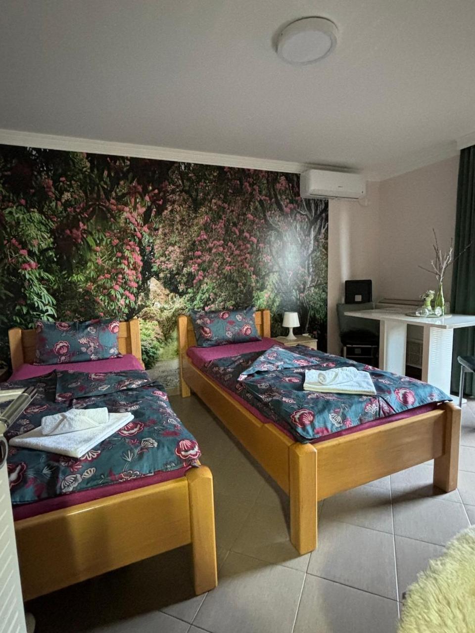Apartmani "Marija" Ґолубац Екстер'єр фото